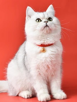 החתול קולר החתול בל השנה החדשה סינר כלב דקורטיבי שרשרת קטנה כלב מחמד הצוואר אביזרים הצוואר הלהקה חתול אביזרים לחיות מחמד